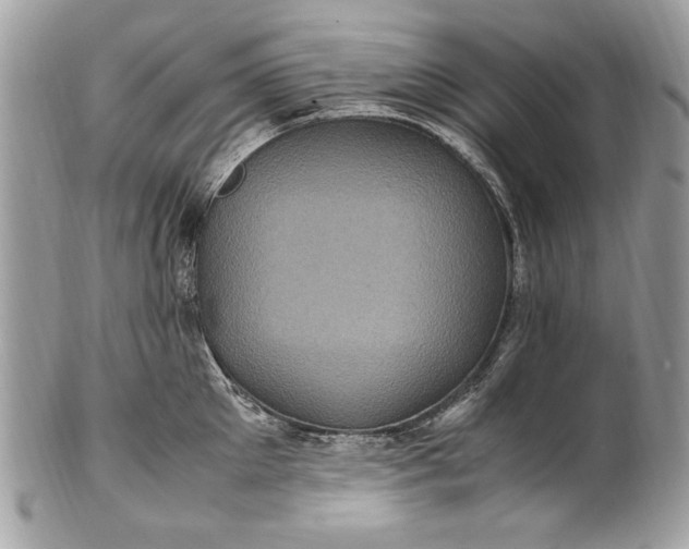 X0000100860905200807070930