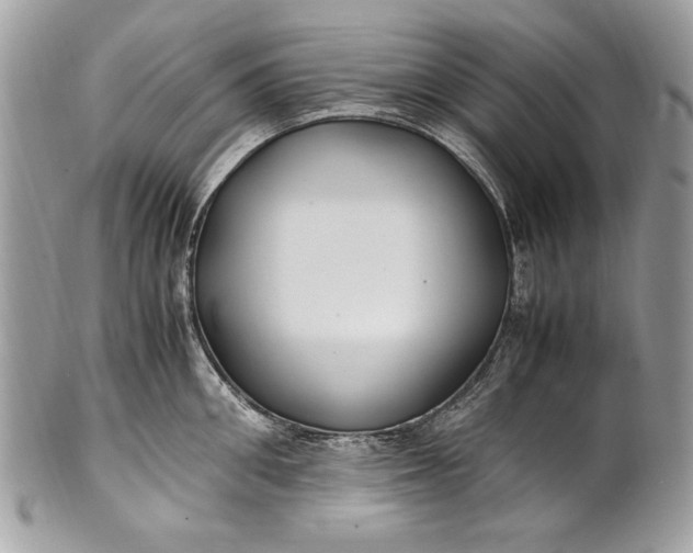 X0000100860906200807070930