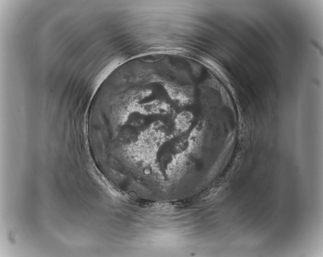 X0000100860907200807070930