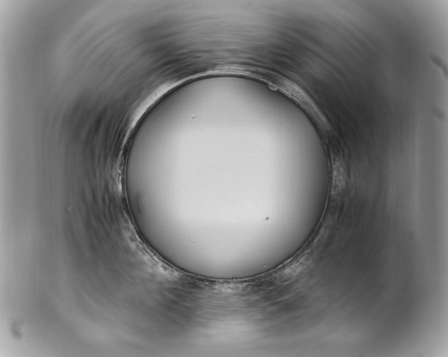 X0000100860908200807070930