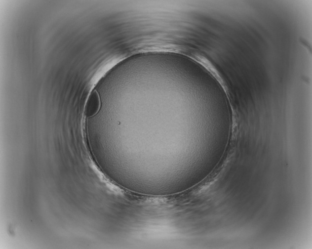 X0000100860909200807070930