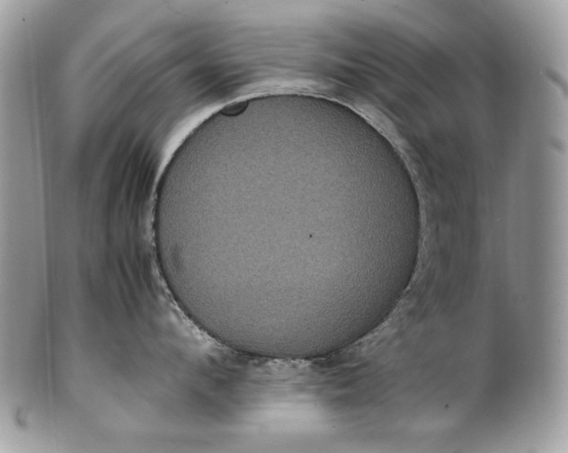 X0000100860912200807070930