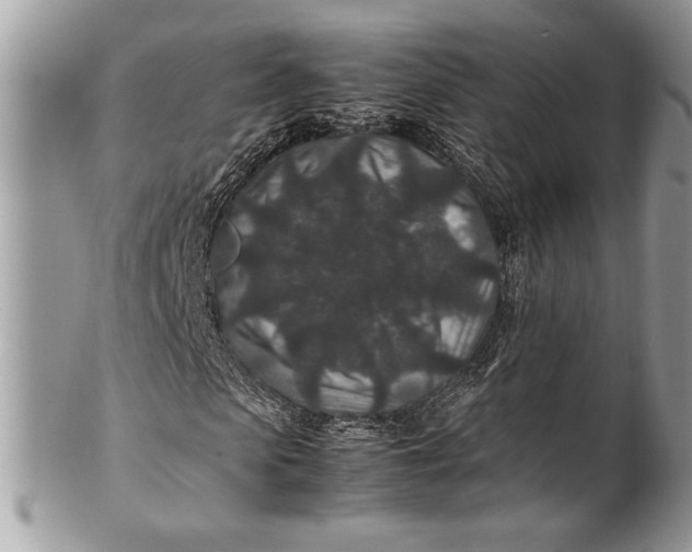 X0000100860913200807070930