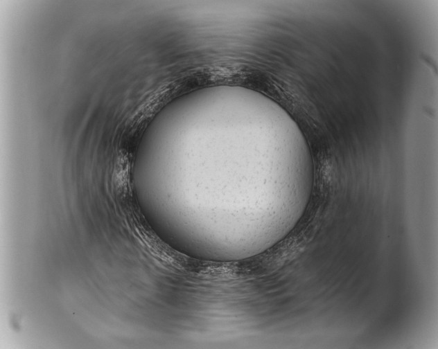 X0000100860914200807070930