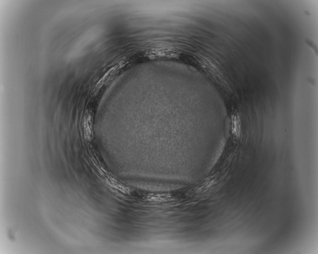 X0000100860915200807070930