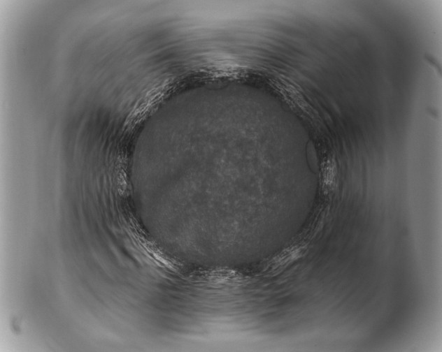 X0000100860916200807070930