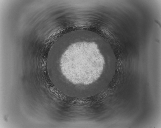 X0000100860917200807070930