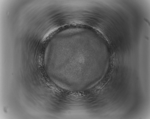 X0000100860919200807070930