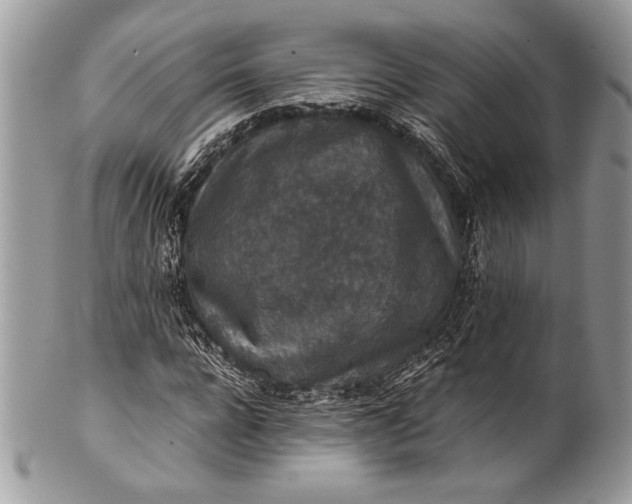 X0000100860920200807070930