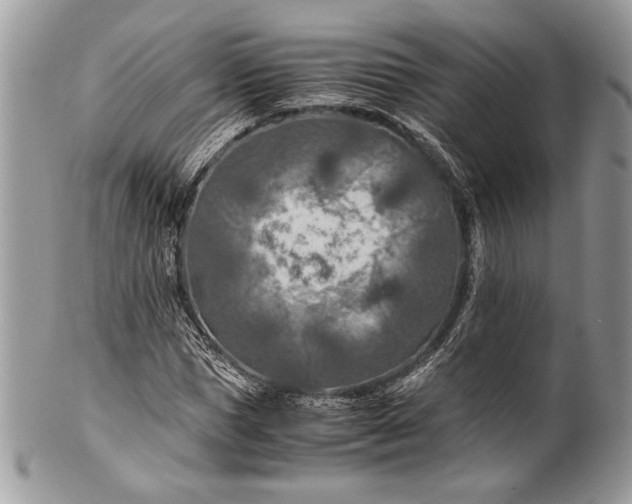 X0000100860921200807070930