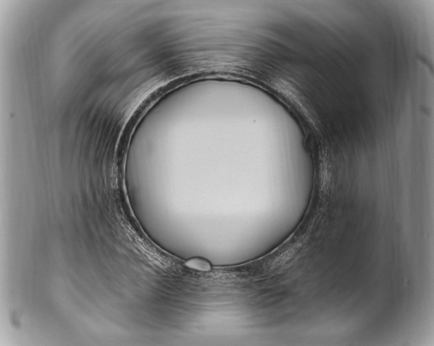 X0000100860924200807070930