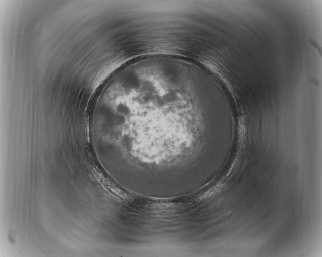 X0000100860925200807070930