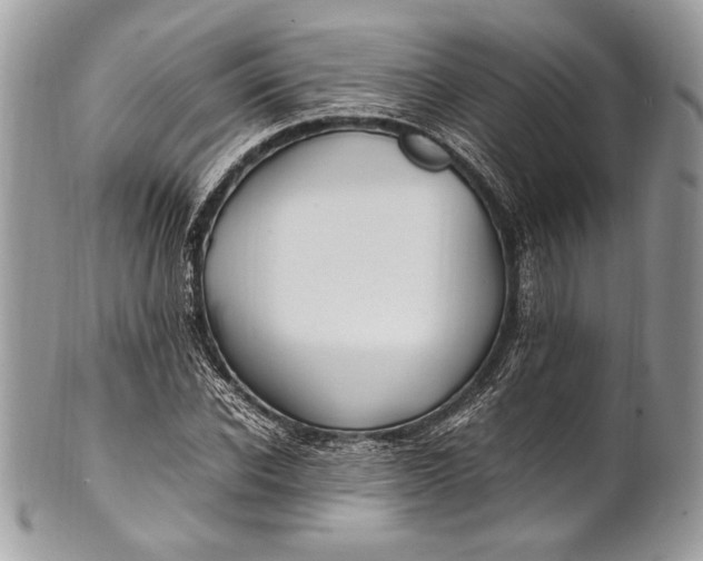 X0000100860926200807070930