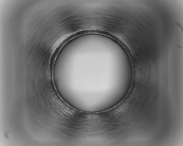 X0000100860927200807070930