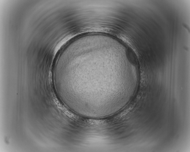 X0000100860928200807070930