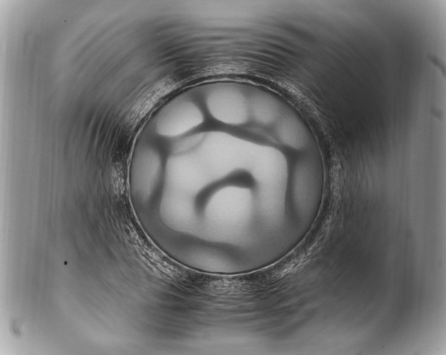 X0000100860929200807070930