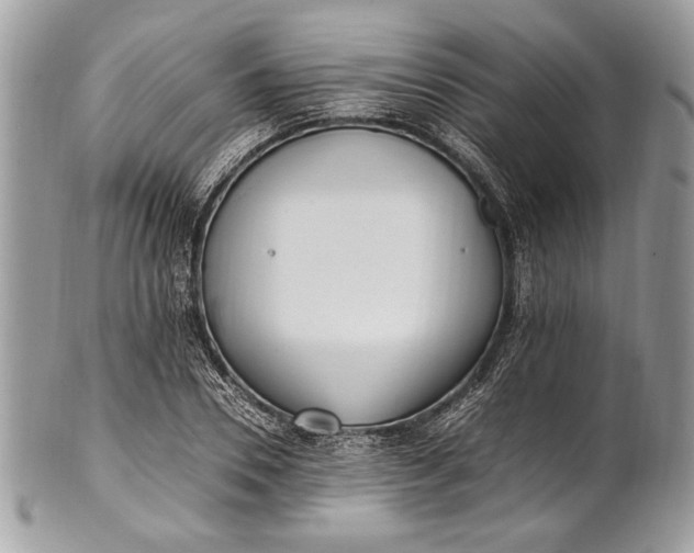 X0000100860930200807070930