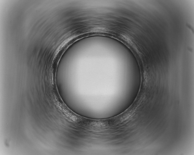 X0000100860931200807070930