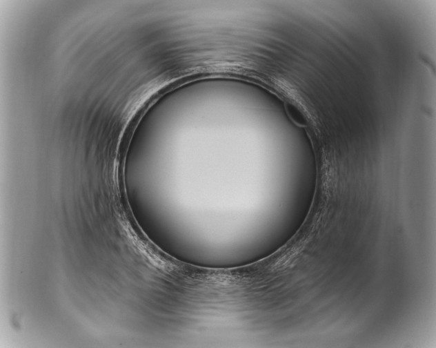 X0000100860932200807070930