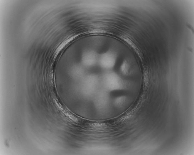 X0000100860933200807070930