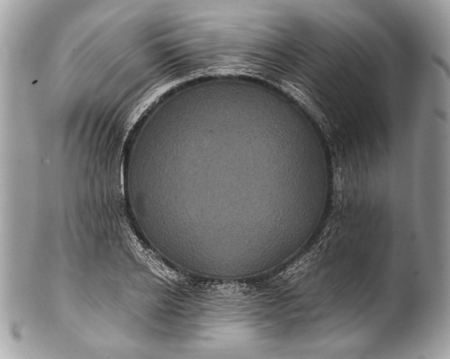 X0000100860934200807070930