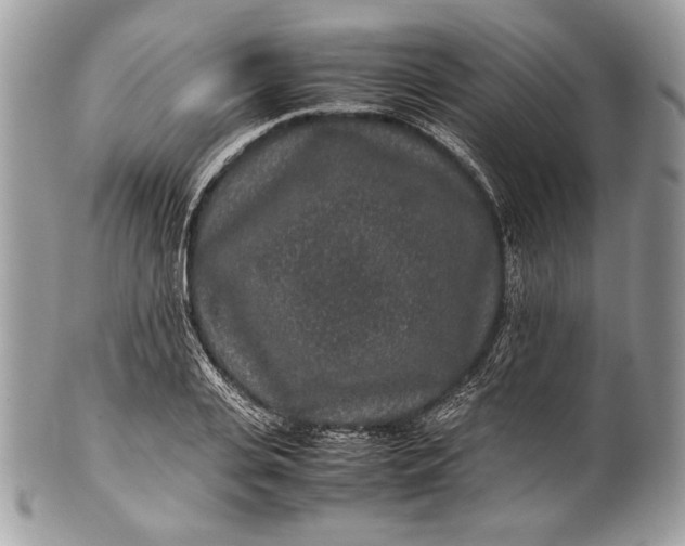 X0000100860935200807070930