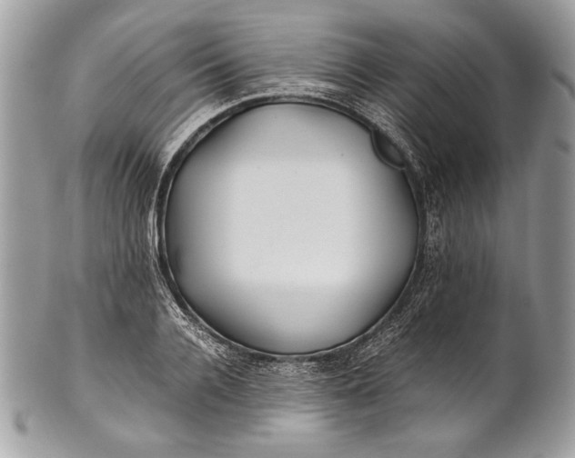 X0000100860936200807070930