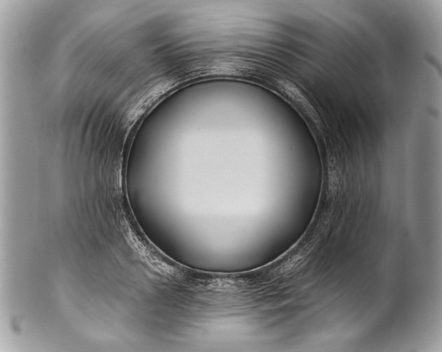 X0000100860938200807070930