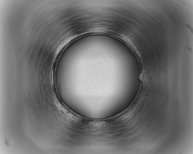 X0000100860939200807070930