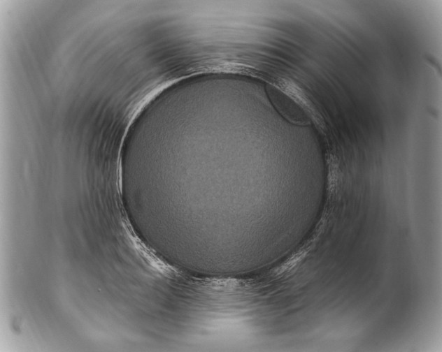 X0000100860940200807070930