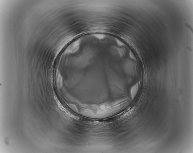 X0000100860941200807070930