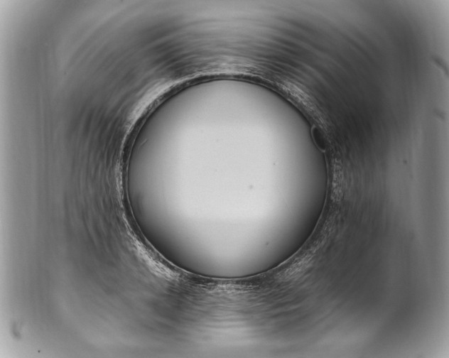 X0000100860942200807070930