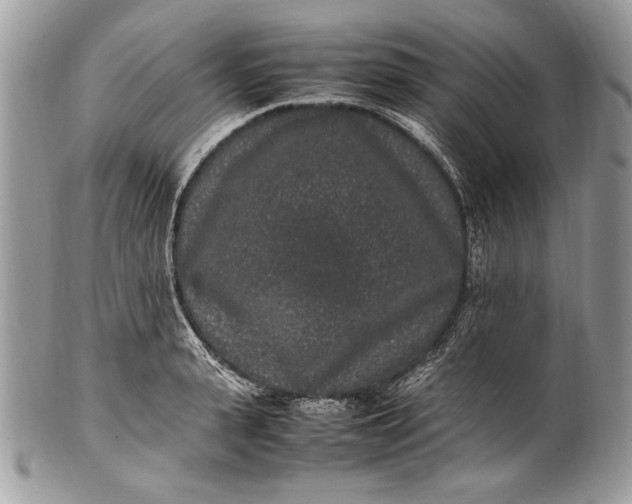 X0000100860943200807070930