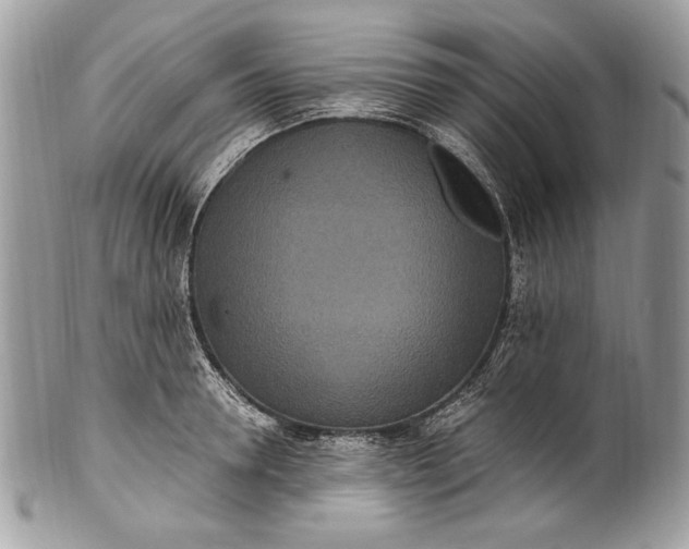 X0000100860946200807070930