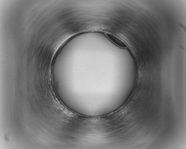 X0000100860948200807070930