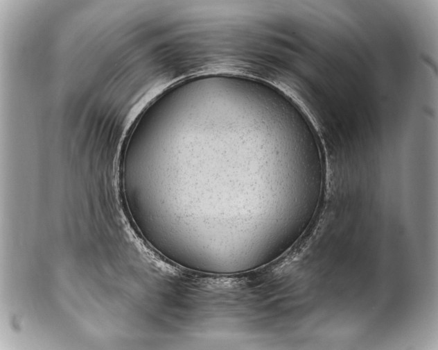 X0000100860949200807070930