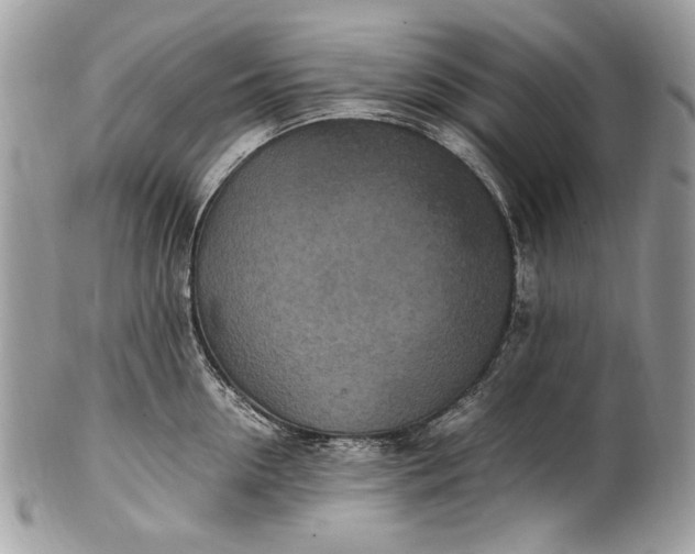 X0000100860954200807070930