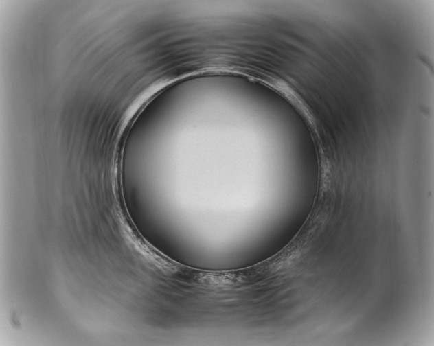 X0000100860955200807070930