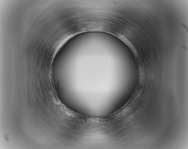 X0000100860956200807070930