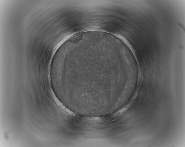 X0000100860957200807070930