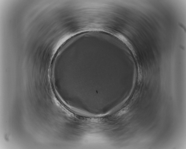 X0000100860958200807070930