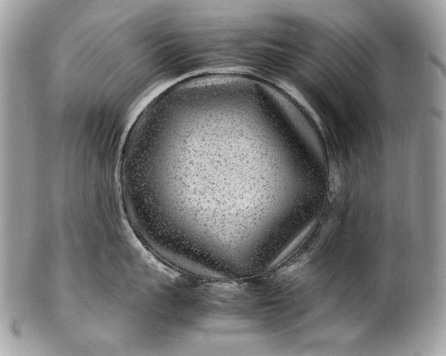 X0000100860959200807070930