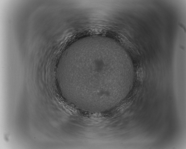 X0000100860961200807070929