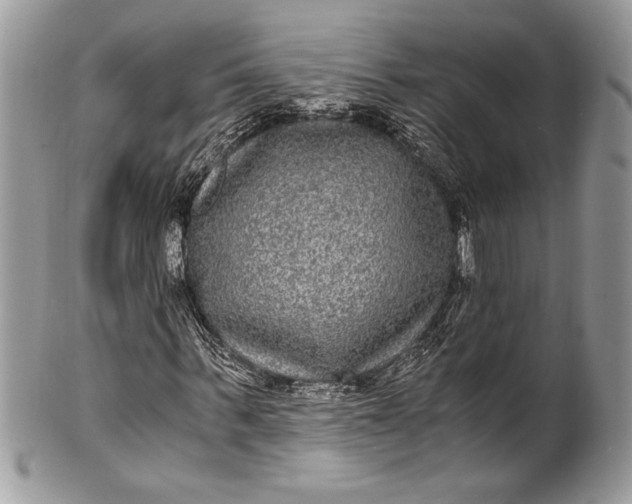 X0000100860963200807070929