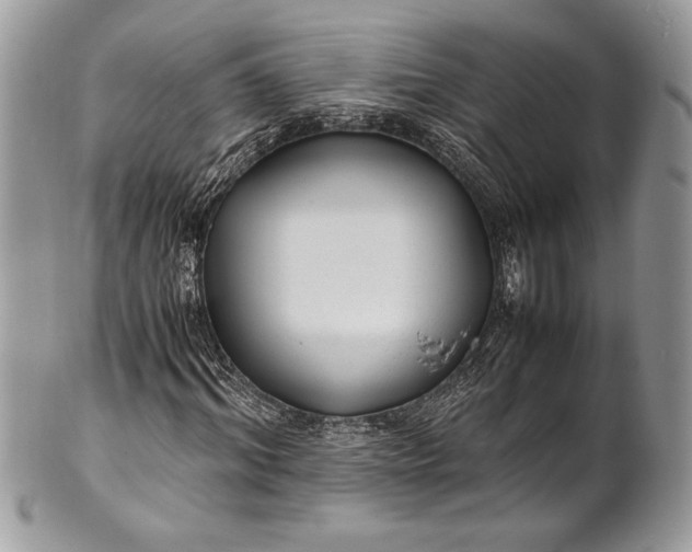 X0000100860964200807070929