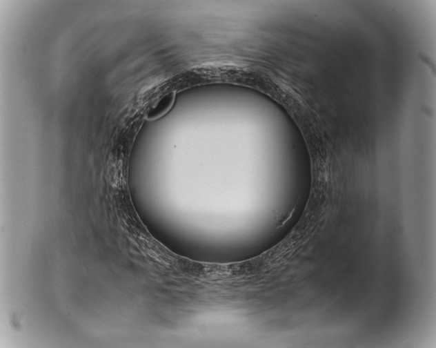 X0000100860965200807070929