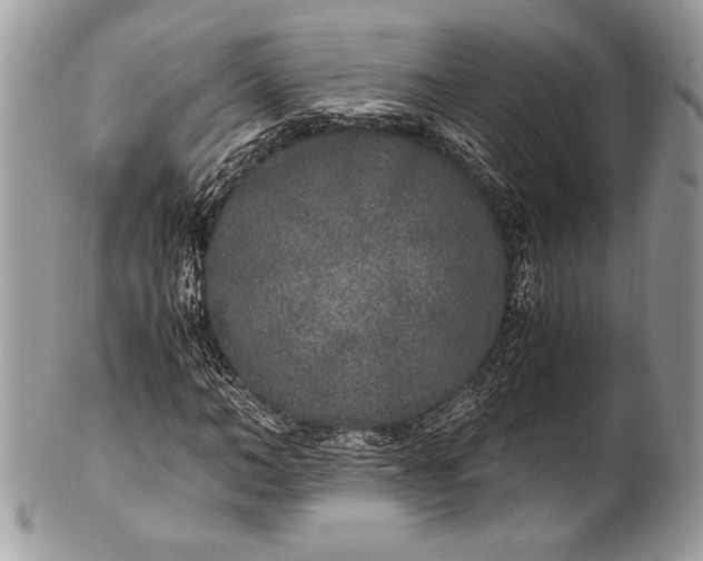 X0000100860966200807070929