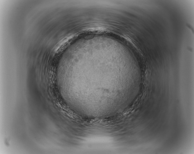 X0000100860967200807070929