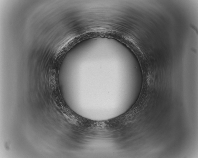 X0000100860968200807070929