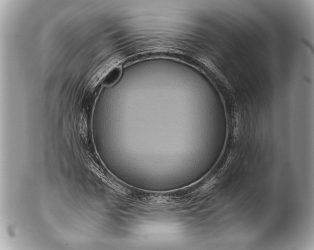 X0000100860969200807070929